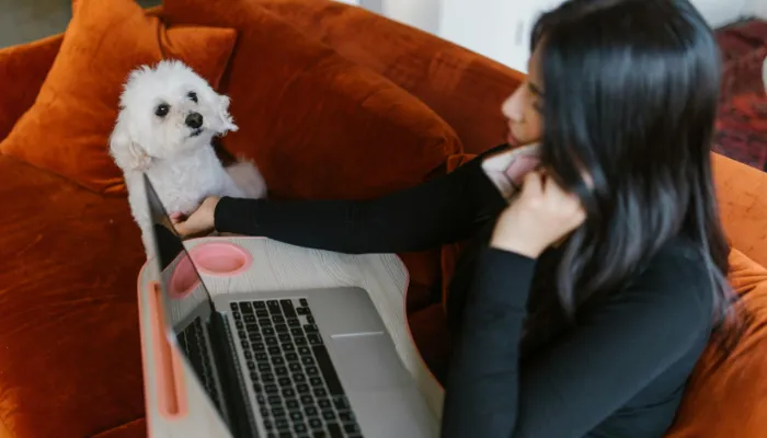 Benefits of Dog Language Translators Benefits of Dog Language Translators