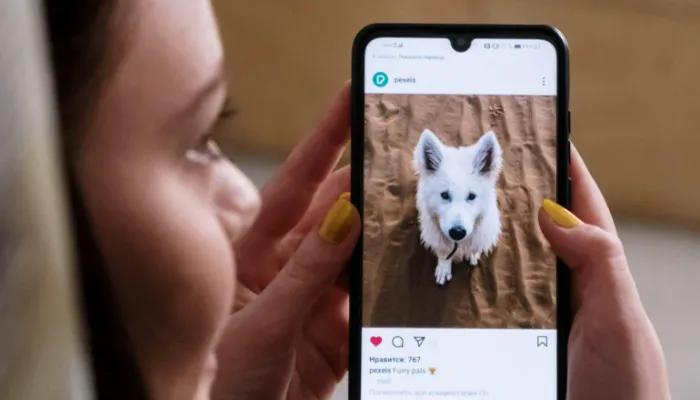 Best Dog Translator Apps Best Dog Translator Apps