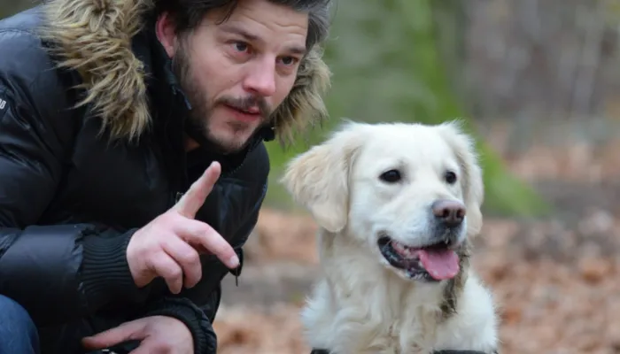 English to Dog Translator: What is It? English to Dog Translator: What is It?