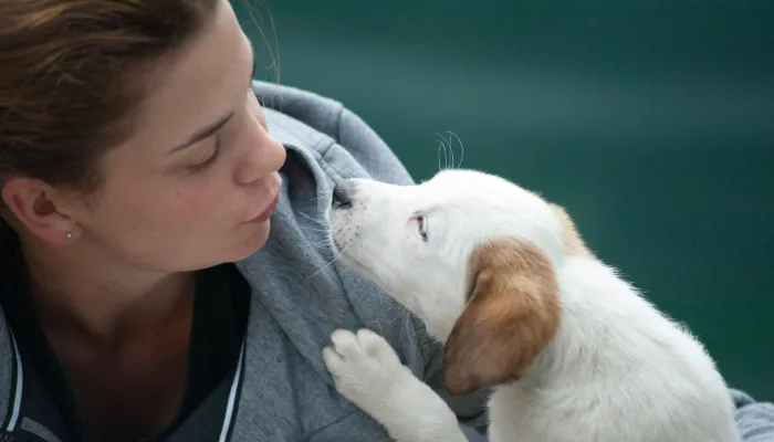 How Do I Say "I Love You" in Dog Translator?