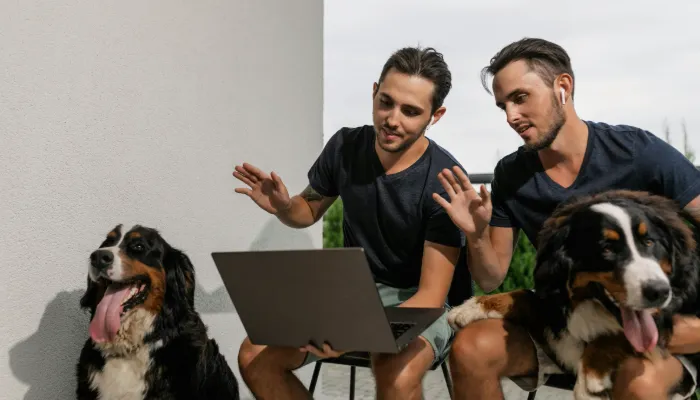 How Do You Say "Hi" in Dog Language?