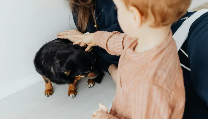 What's Hello in Dog Language?