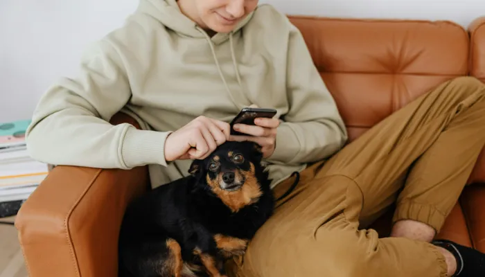 Limitations and Debates: Should We Trust Dog Translators? Limitations and Debates: Should We Trust Dog Translators?